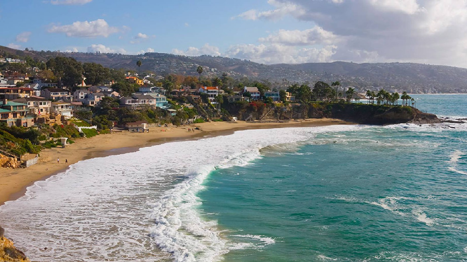 We know what it takes to be the leader! 